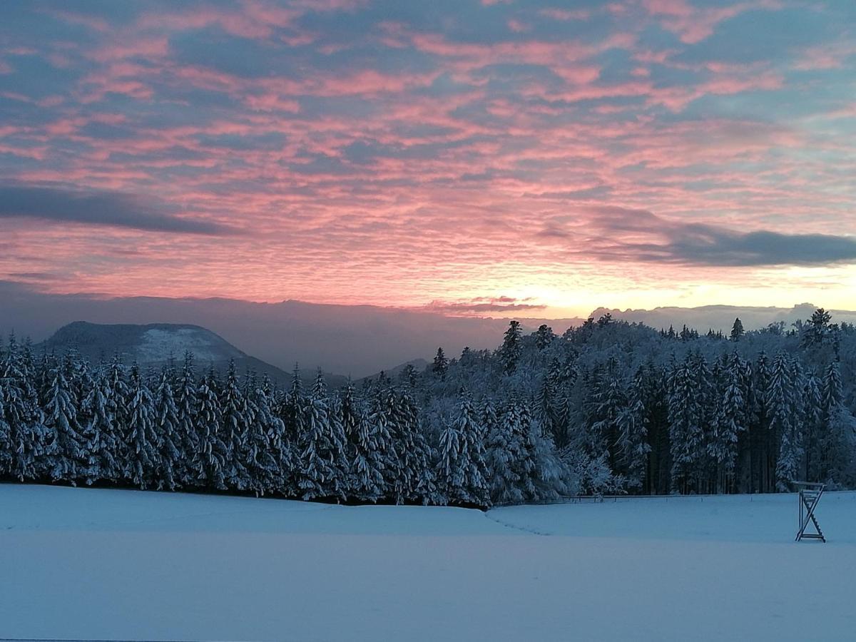 Domaine De Siane Villa Plaine Kültér fotó